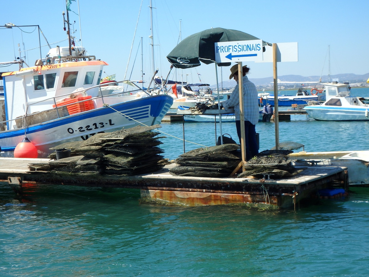 Porto de abrigo da vila da Culatra