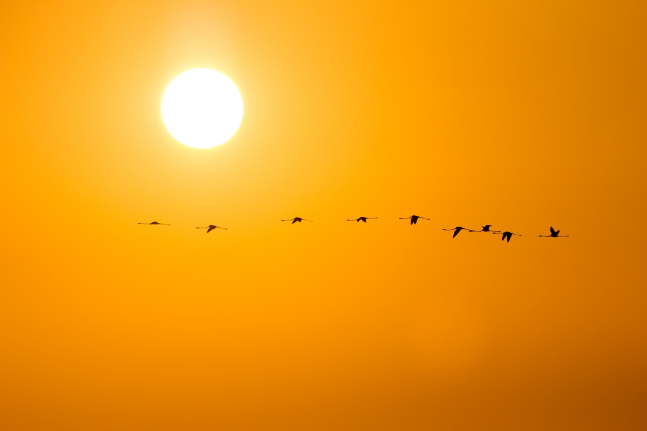 Pôr do sol da Ria Formosa